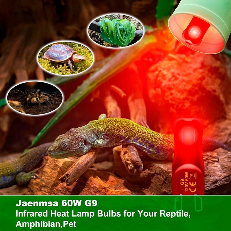 Jaenmsa Reptile Heat Lamp Bulbs 60W 120V, 2 Pcs UVA UVB G9 Infrared Night Heat Light Bulbs for Turtle,Leopard Gecko,Bearded Dragon, Snake,Lizard Mini Reptile Halogen Heating Bulb 2 Pin Dimmable - Image 5